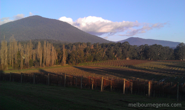 Yarra Valley Wineries