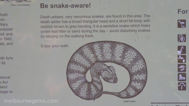 Australian Snake Sign