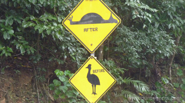 Far North Queensland Cassowary sign