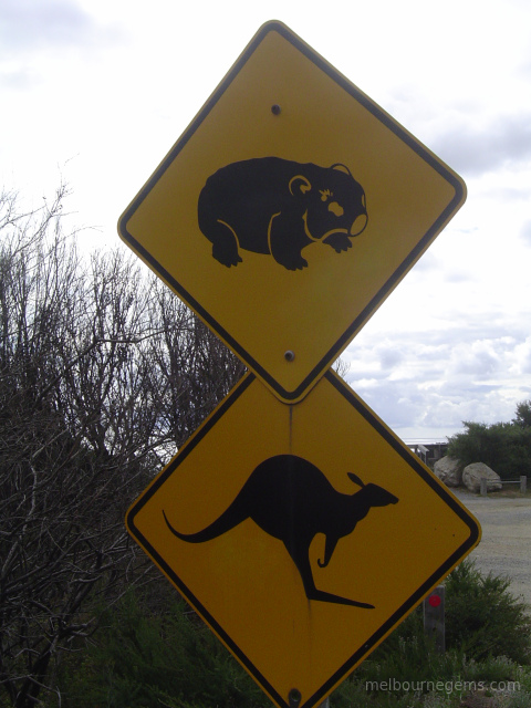 Wombat and Kangaroo Autralian road sign